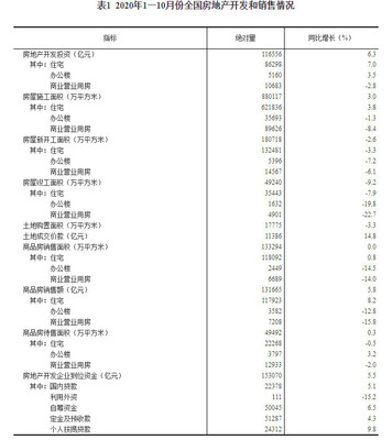 统计局:1-10月份全国房地产开发投资同比增长6.3%